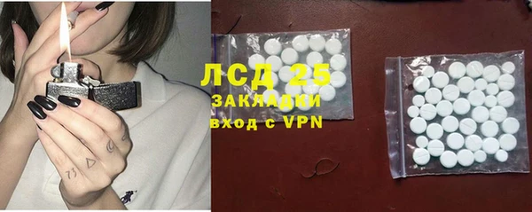 шишки Тында