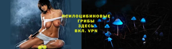 прущая мука Лабытнанги