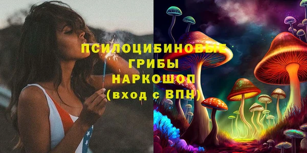 СК Лиски
