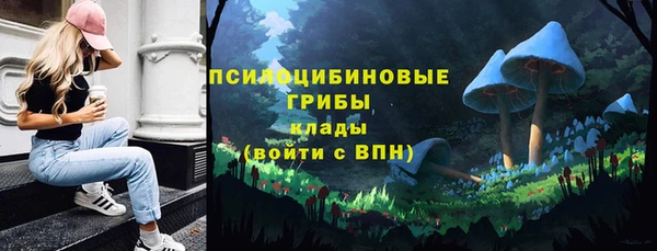 скорость Лагань