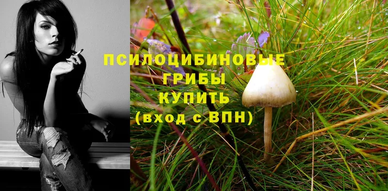 MEGA зеркало  Мураши  Галлюциногенные грибы Magic Shrooms 